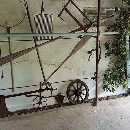 Bezic Apartment *